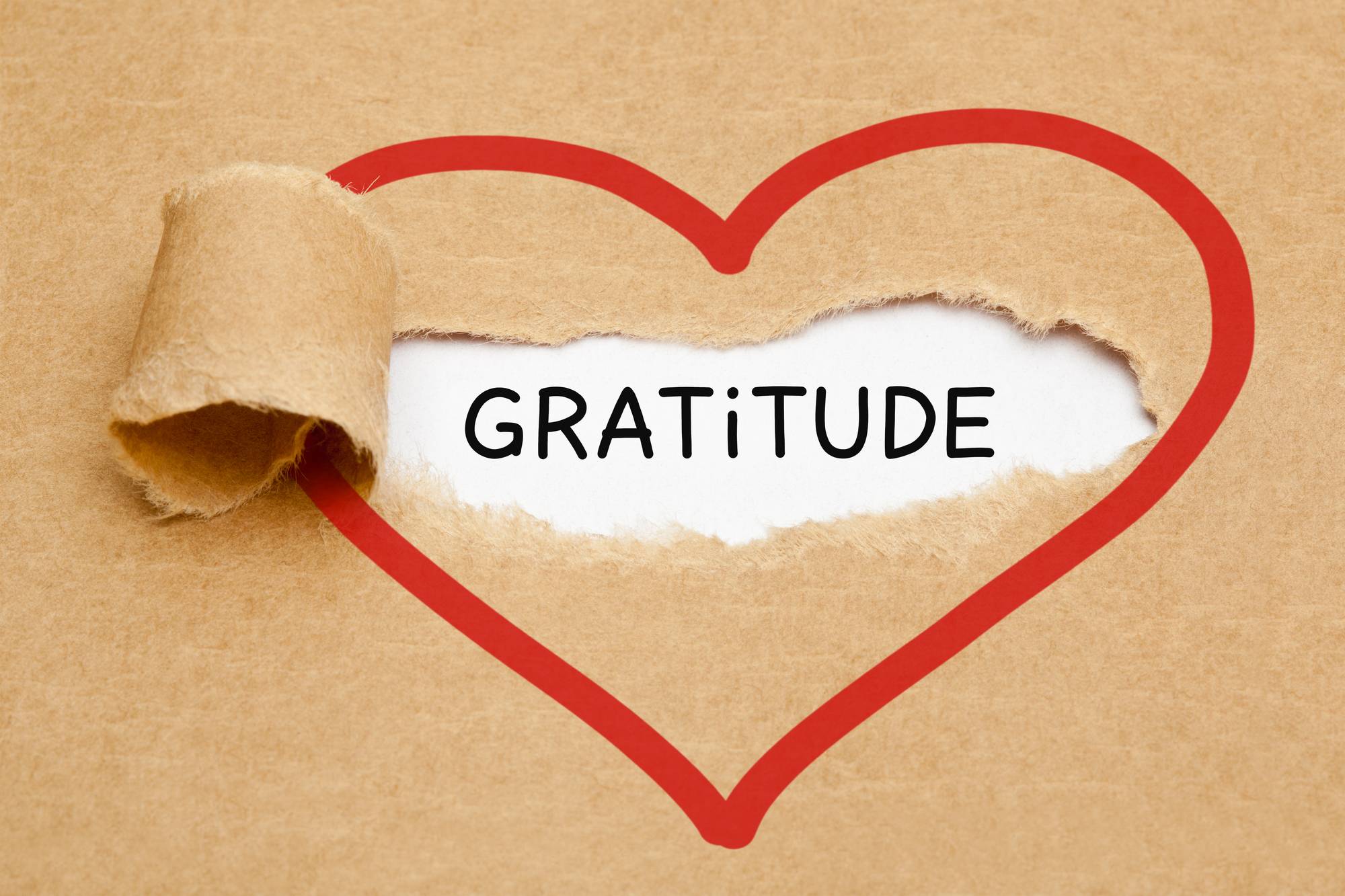 Gratitude always!