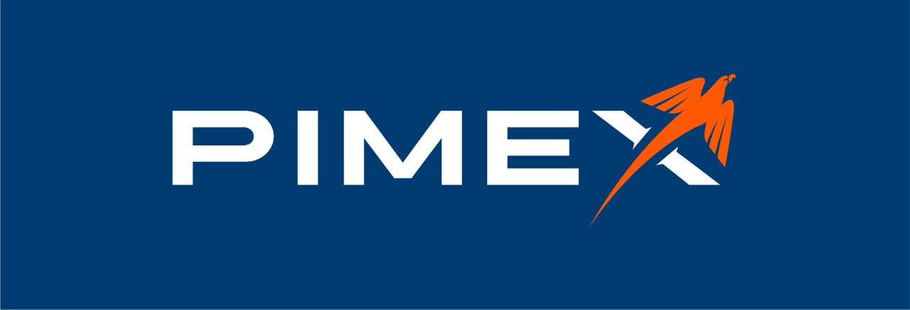 Global One80 14 Logo Pimex