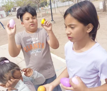 Imagen de WhatsApp 2024-03-23 a las 12.00.40_c902359a