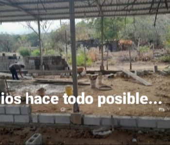 Screenshot_20231209-142335_Gmail