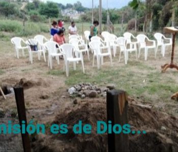 Screenshot_20231209-142502_Gmail