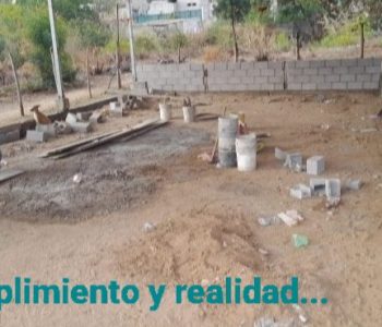 Screenshot_20231209-142509_Gmail